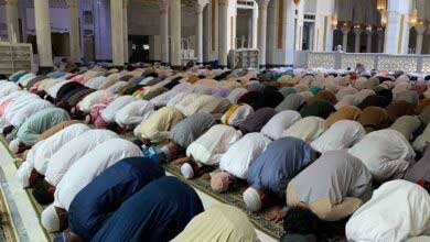 Secde Eden Bir Beynin Değişen Dalga Yapısı